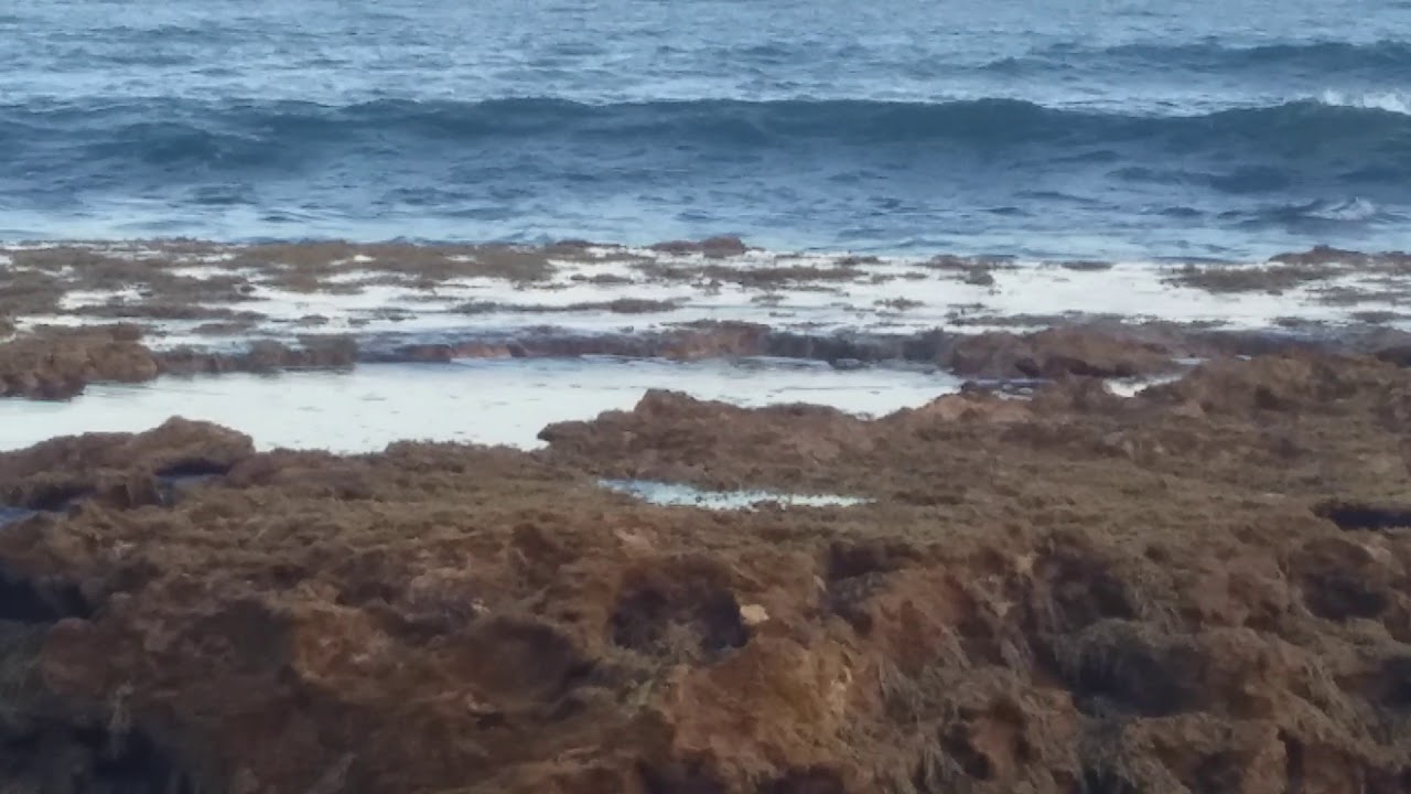 Low Tide at Point Danger Marine Sanctuary - YouTube
