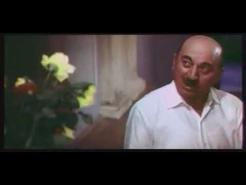 \"მხიარული რომანი\" - დაუპატიჟებელი სტუმარი (mxiaruli romani)