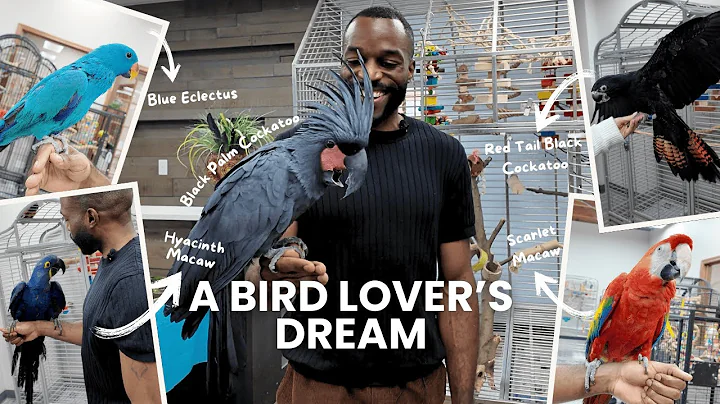 INSIDE Parrot Stars! The Ultimate Parrot Store Tour (Rare & Exotic Birds!) thumbnail