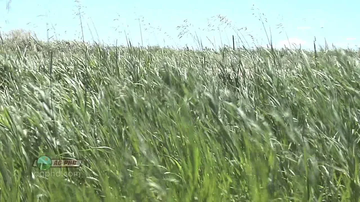 Farm Basics-Organic Matter #703 (Air Date 9/25/11)