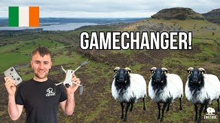 USING A DRONE TO LAMB MY IRISH HILL SHEEP