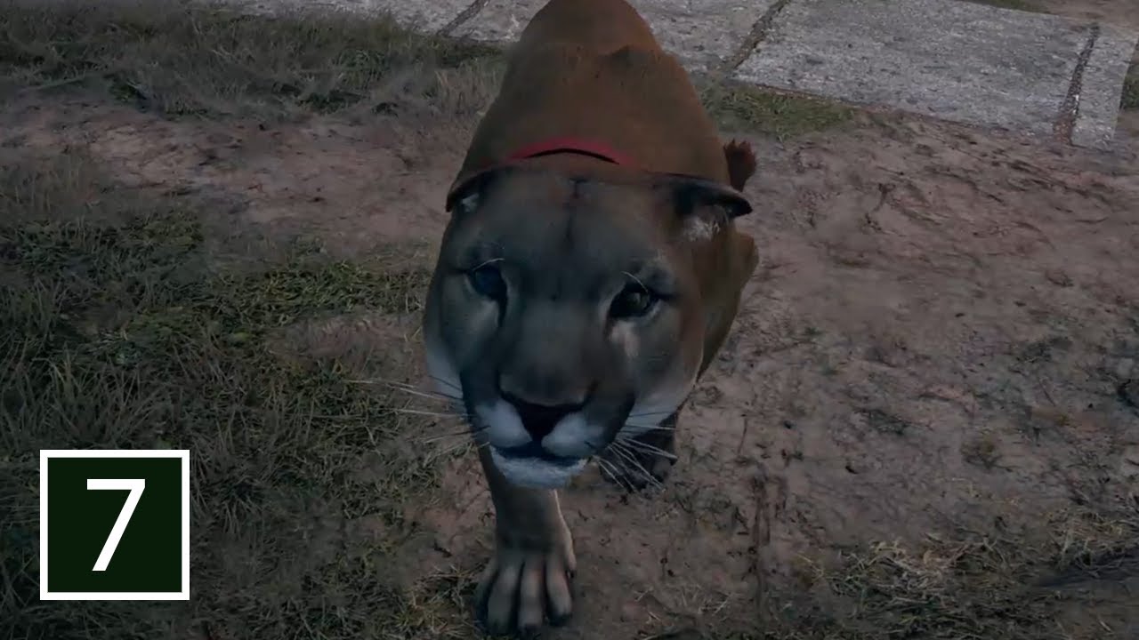 Feeling peachy with Peaches Far Cry 5 PART 7 (Hard)(No Commentary