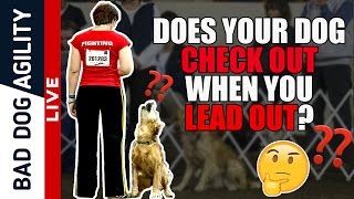 Does Your Dog Check Out When You Lead Out?