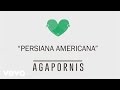 Agapornis - Persiana Americana