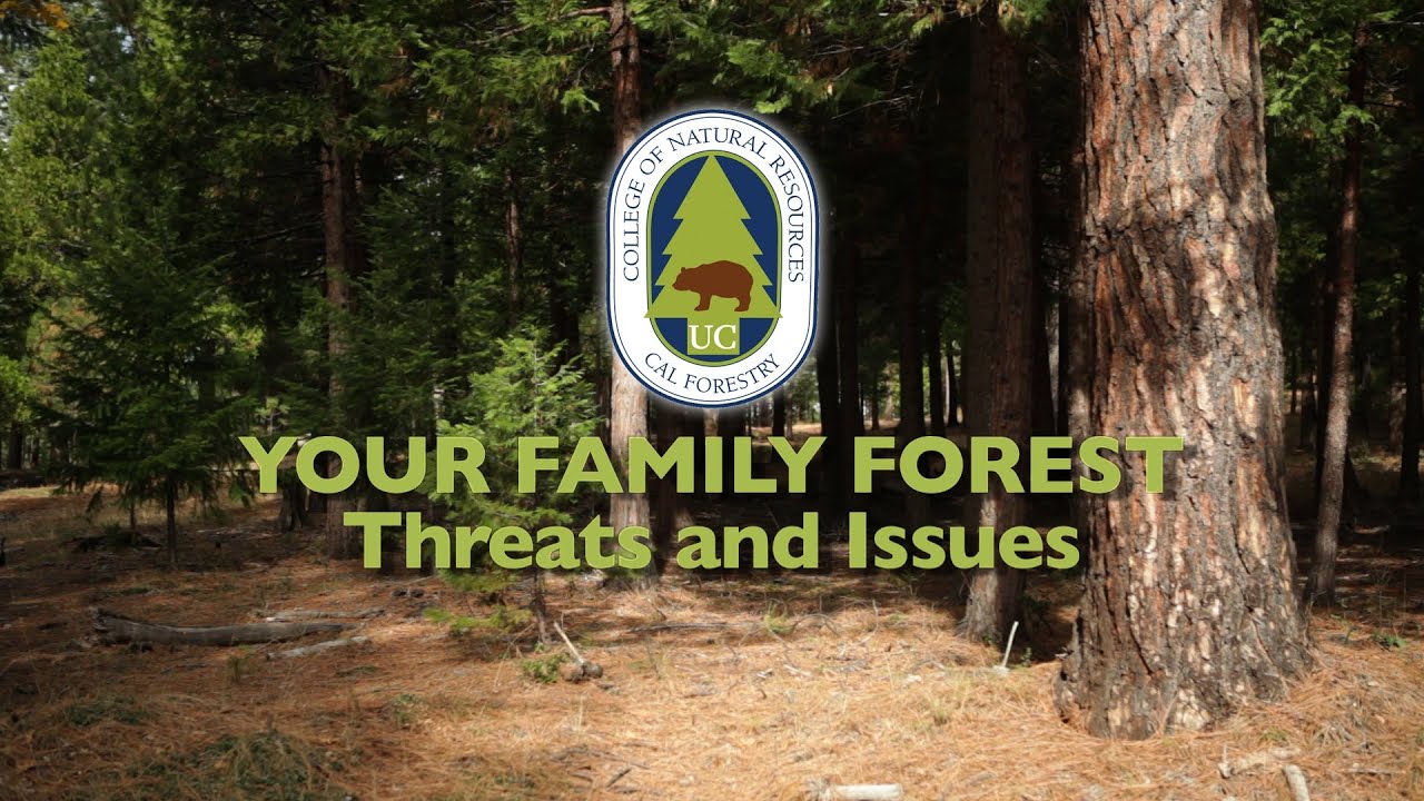 Your Family Forest - Threats and Issues - YouTube