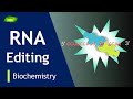 RNA Editing | PAN Editing | Editosome | BIOCHEM I PART-6 | Protein Synthesis| Basic Science Series