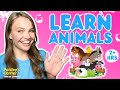 Learn animals  sounds with ms lily  best toddler learnings  learnings for toddlers