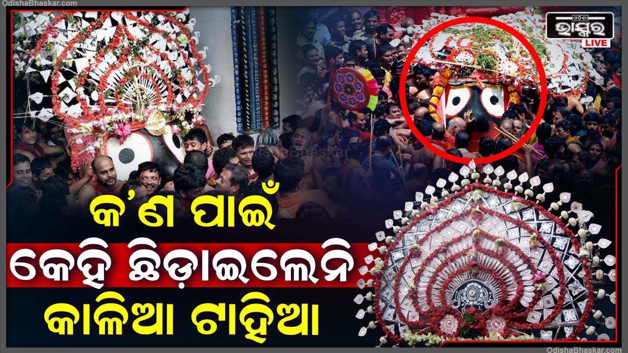 ଆଗରୁ ଟାହିଆକୁ ଛିଡ଼ାଇ ଦେଉଥିଲେ ସେବାୟତ ହେଲେ ଏଥର କ’ଣ ପାଇଁ କେହି ଛିଡ଼ାଇଲେନି କାଳିଆର ଟାହିଆ Tahia of SriJew