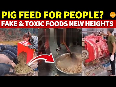 China?s Fake and Toxic Foods Reach New Heights | Pig Feed for People?