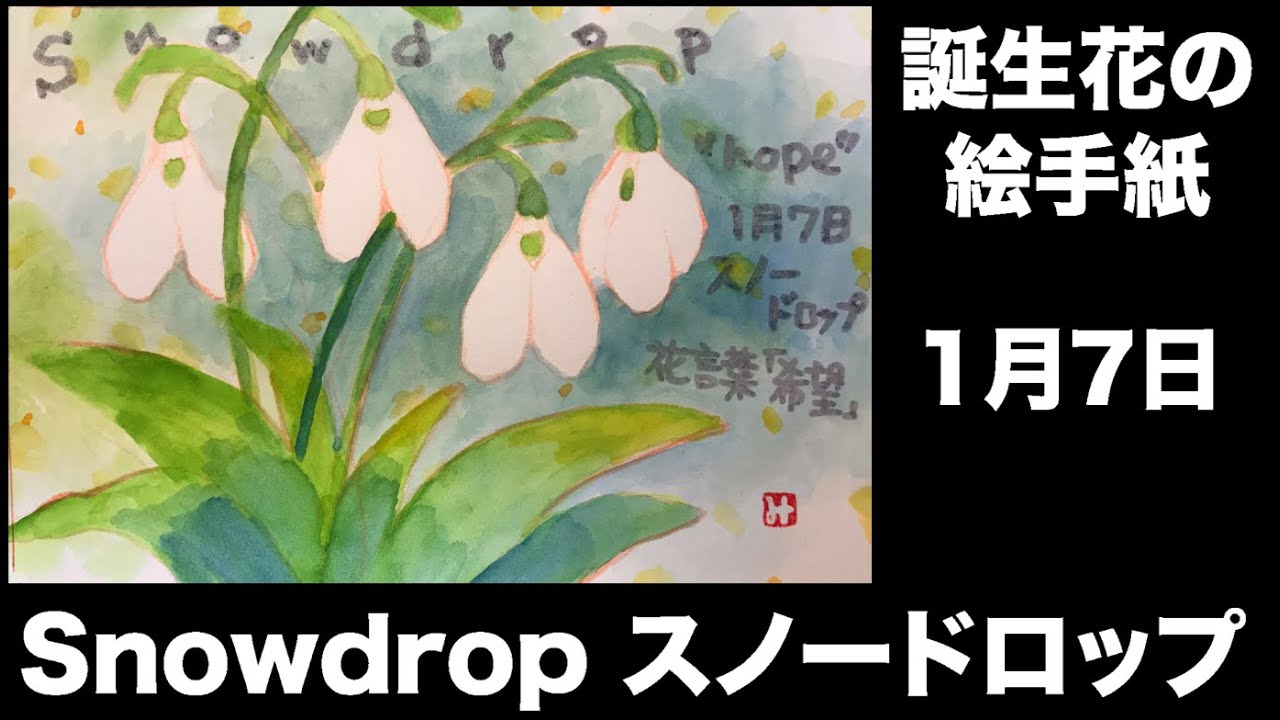 誕生花の絵手紙 1月7日 Snowdrop スノードロップ Youtube