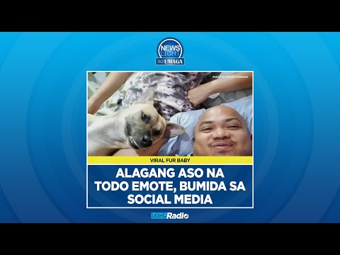 Video: Isang Aso Sa Ginintuang Hay: Isang Negosyanteng Amerikano Na Walang Anak Na Nagpamana Ng $ 5 Milyon Sa Isang Alaga