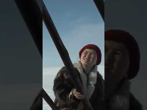 😳 Условия жизни