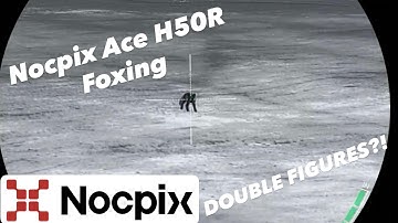 NOCPIX ACE H50R FOXING ACTION