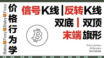 第13期 价格行为学|信號K線|反轉k線|雙底雙頂|末端旗形|比特币|Price Action Al Brooks|BTC