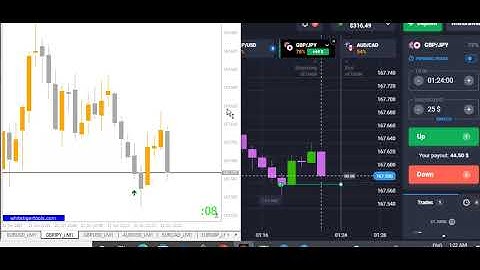 Most Powerful Binary Indicator, This Indicator Give You 95% Win Rate | 100% Non Repaint | TraderBD