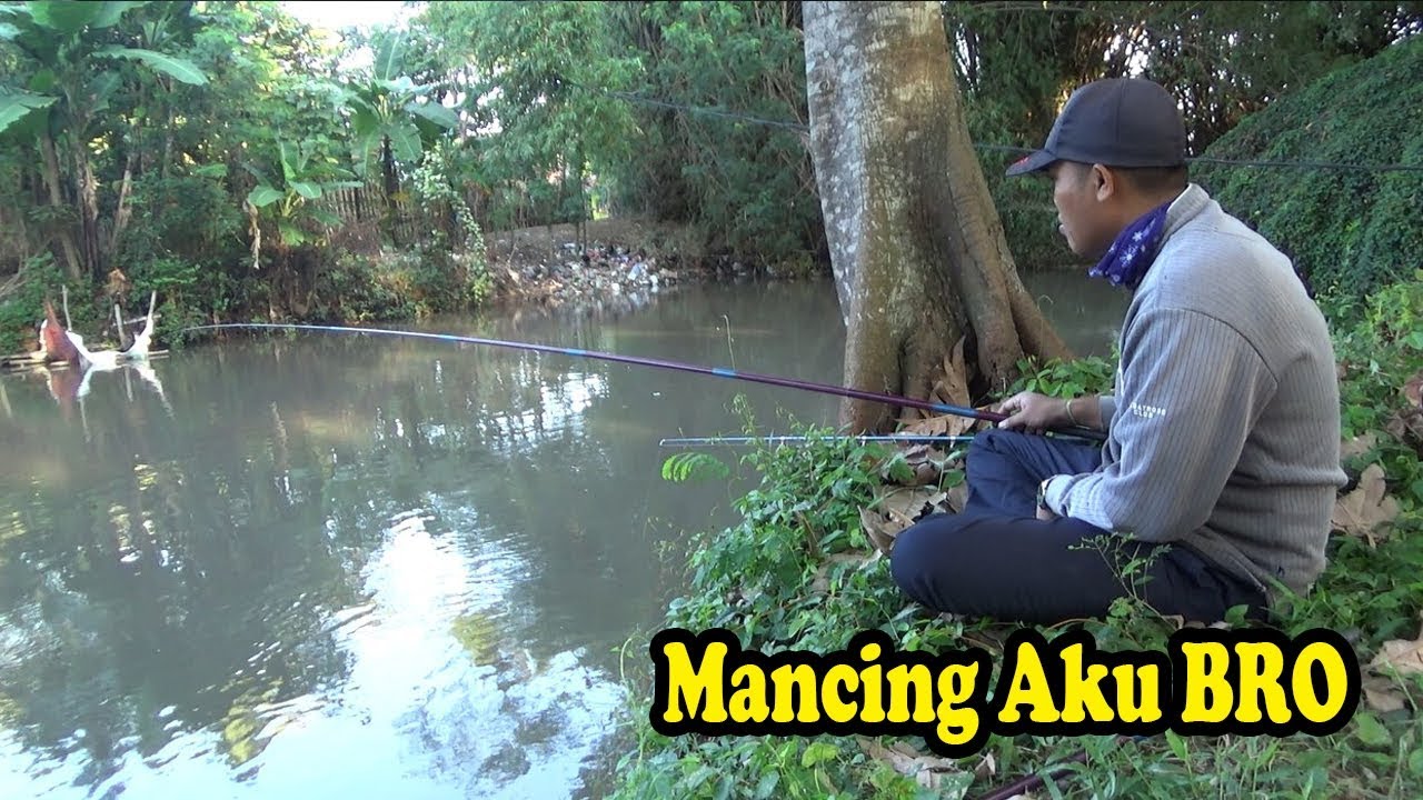 Mancing Di Sungai  Besar Umpan Cacing  YouTube