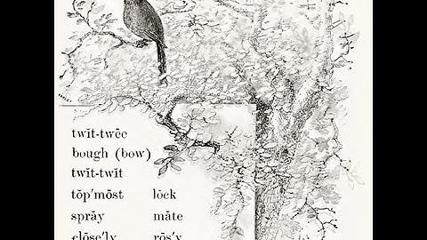 b 2-11 (part 2) Video Lesson XI: What the Bird taught. - McGuffey