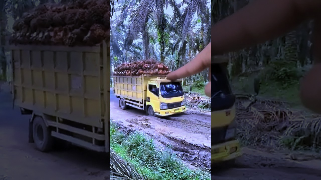 Truck Sawit Telolet 😱
