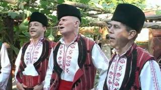 Download Lagu Kran MPFG Naschenci Blagenna Stara Planino MP3