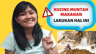 KUCING MUNTAH MAKANAN? LAKUKAN HAL INI| MY CATS DIARY