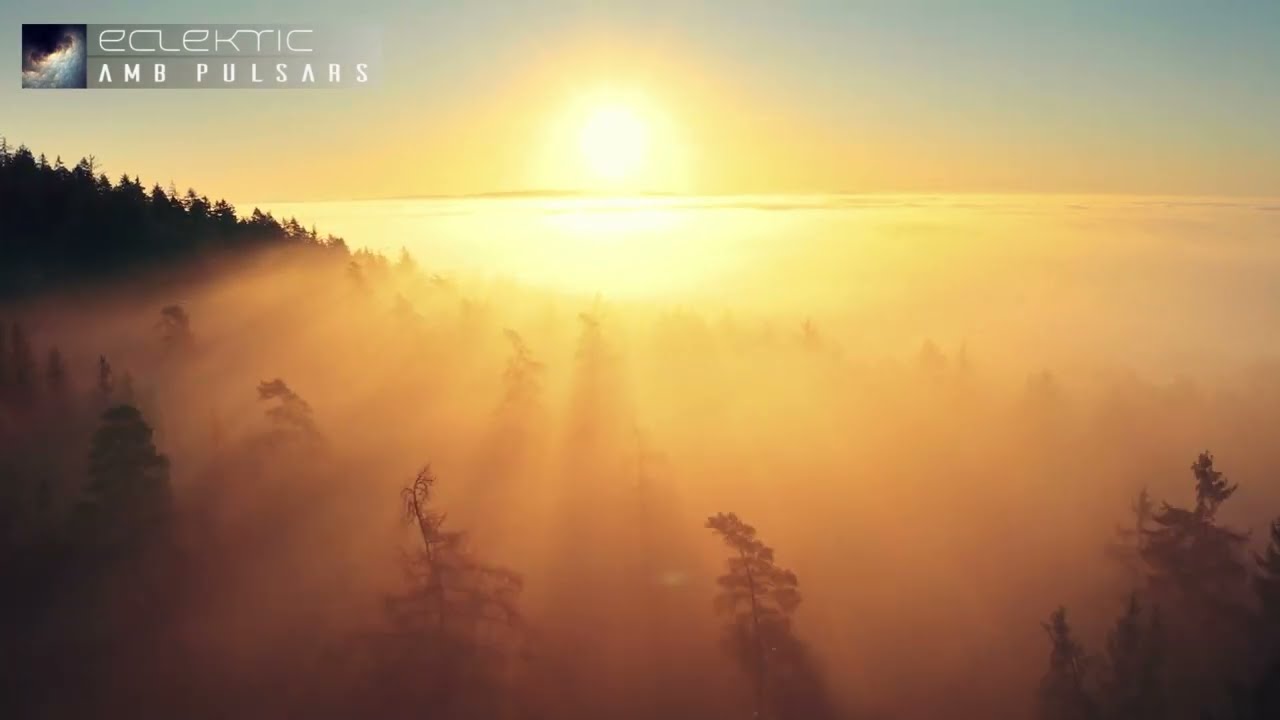 ECLEKTIC - Billion Preservers [Official Video] AmbPulsars