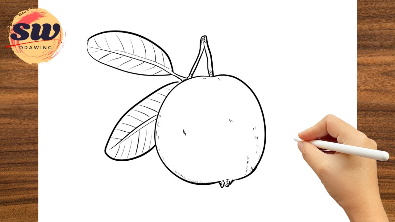 How to Draw Guava