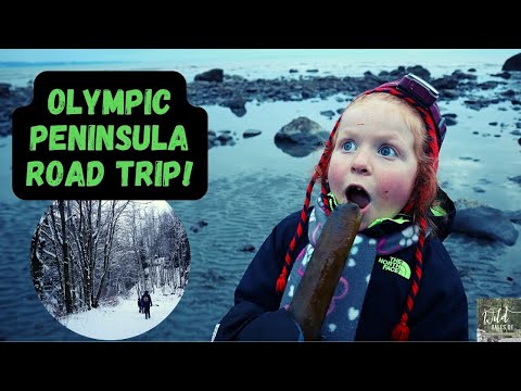 Olympic Peninsula Road Trip! | Seattle to Port Angeles in the Snow | Wild Tales of...Family Travel