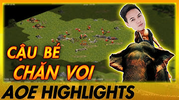 Chim Sẻ Đi Nắng BẮT BÀI CHUYỂN QUÂN ĐẲNG CẤP khi solo random | AoE Highlights