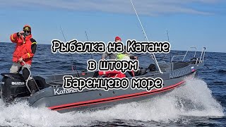 Рыбалка в Баренцевом море на реке 