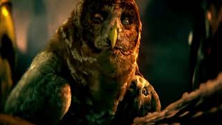 Kill the Lights // NRS MEP Part 10