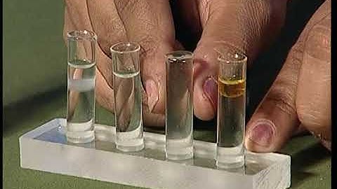 Sorting Materials into Groups Part 2