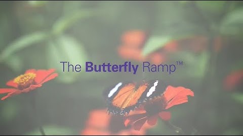The Butterfly Ramp™ - Everyone