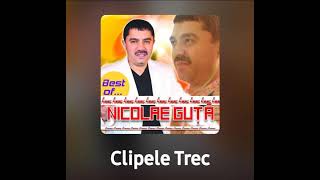 NICOLAE GUTA   CLIPELE TREC