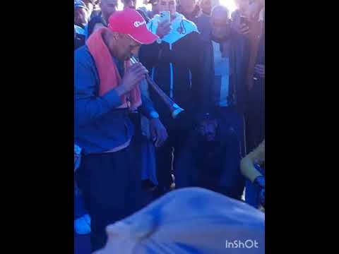 الغياط حسن يستعد 