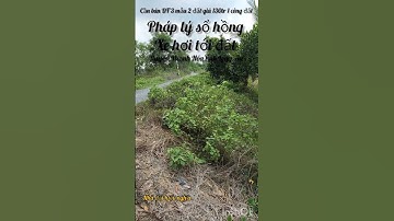 cần bán DT 3 mẫu 2 đất giá 130tr 1 công đất thuộc huyện Thạnh Hóa tỉnh Long An lh 0816556639