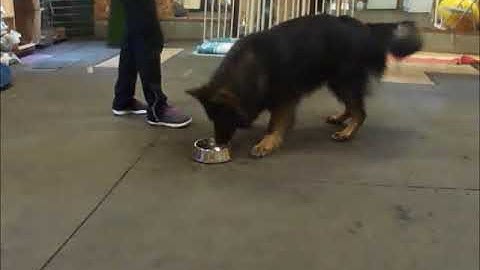 Ones marker cues, dish, X and Toss