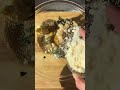 Spinach Balls