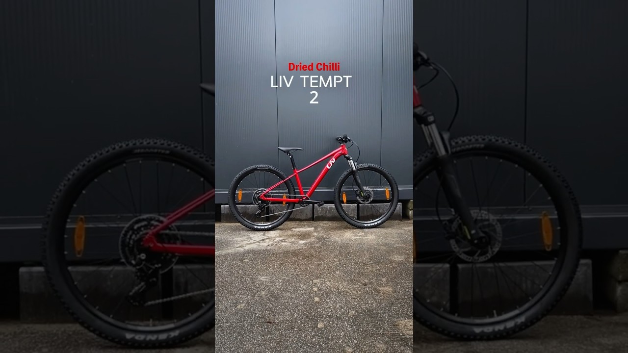 Tempt 2 chilli Bicycles for women 