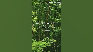 #قرآن_كريم #ماهر_المعيقلي #سورة_النحل