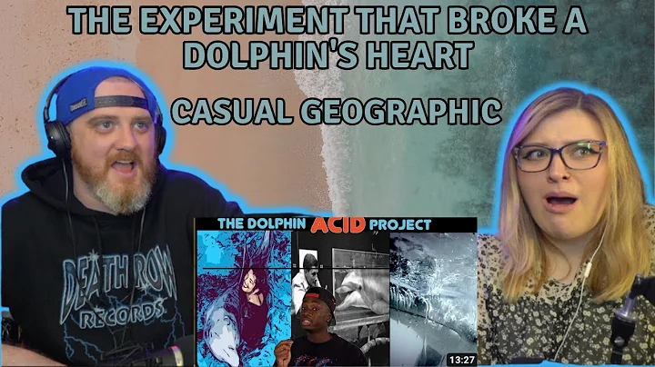 The Experiment That Broke a Dolphin's Heart @mndiaye_97 | HatGuy & @gnarlynikki React