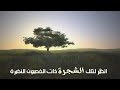 نشيد انضر الى تلك الشجرة  ذات الغسون الناضره