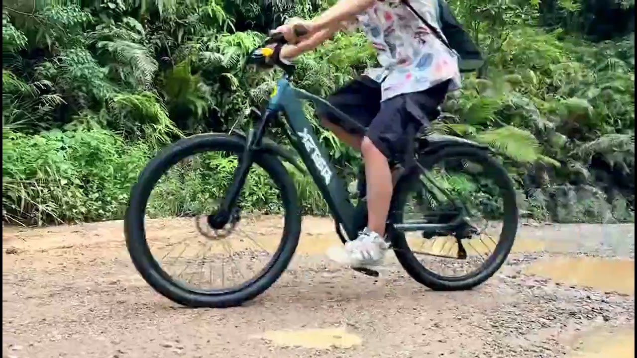 Electric Bike for Adults with Peak 750W Brushless Motor,40Miles 25MPH