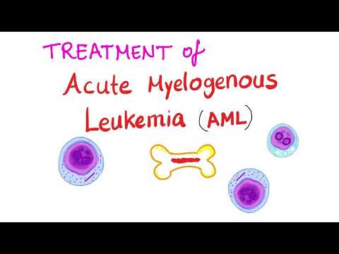 Treatment of Acute Myeloid Leukemia (AML)