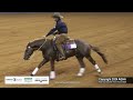 Senior Reining 2024 AQHA World Championship Show 