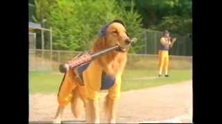 Air Bud - Seventh Inning Fetch (2002) Trailer (VHS Capture)