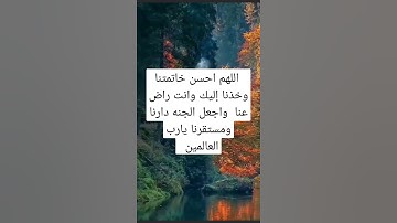 القارئ أنس الميمان