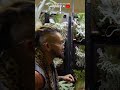 GREBEK THE MOST COMPLETE EXOTIC PLANT EXHIBITION IN INDONESIA WITH PLANTS PRICED AT 2 4 BILLION 