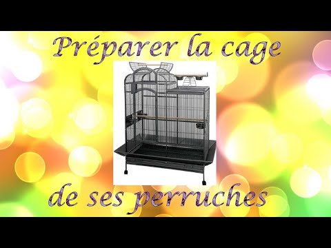 Vidéo: Comment mettre en place une cage à oiseaux pour une perruche ou un cockatiel