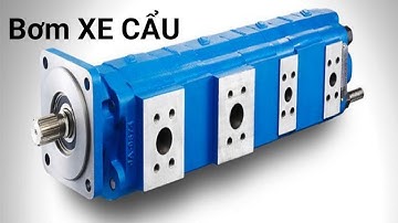 Bơm Bánh Răng Xe Cẩu Parker USA - THUỶ LỰC HAY