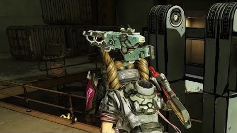 Weapon animation bug (Borderlands 3)